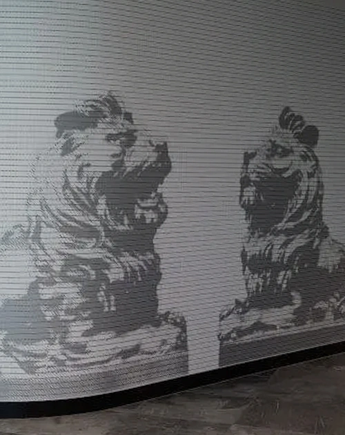 Printed wall graphics installed by Design Tints